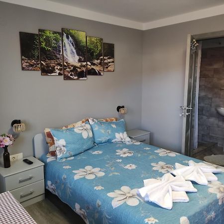Kovacs Guesthouse Praid Luaran gambar